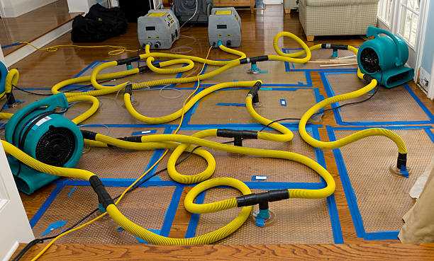 Professional Sewage Cleanup technician working in Wadsworth, TX